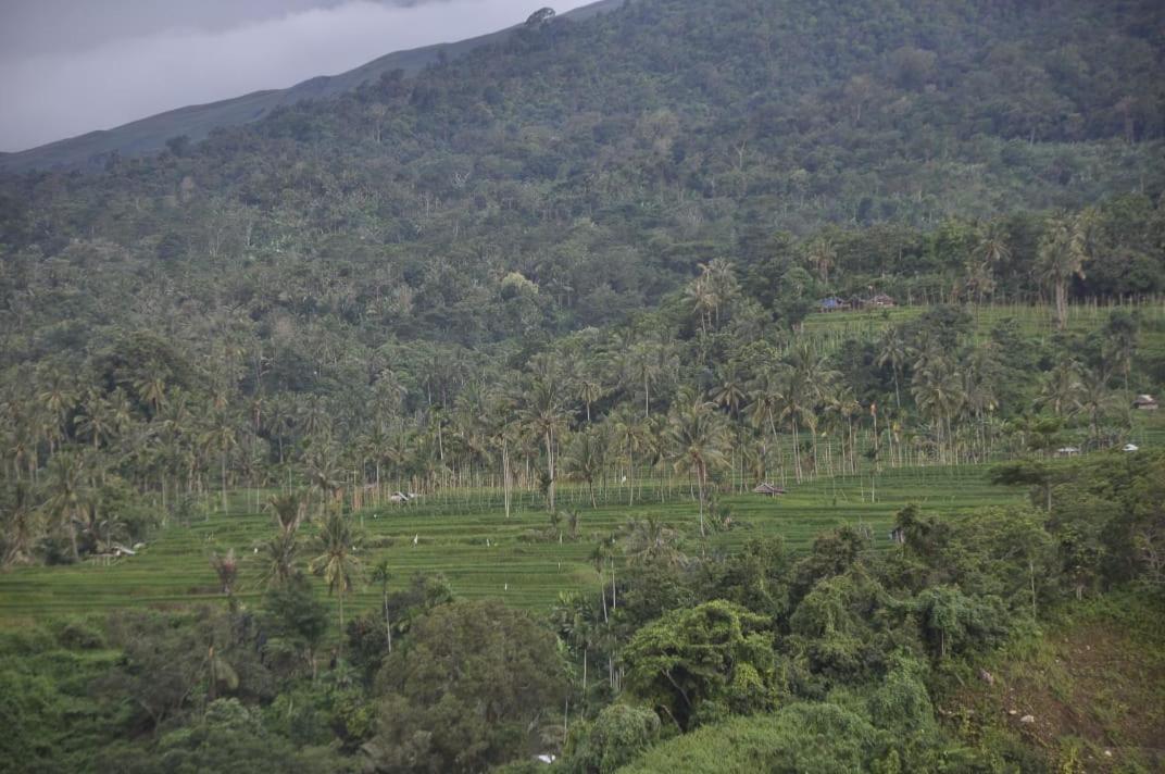 Pondok Guru Bakti Cottage Senaru Kültér fotó
