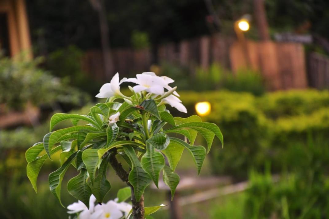 Pondok Guru Bakti Cottage Senaru Kültér fotó